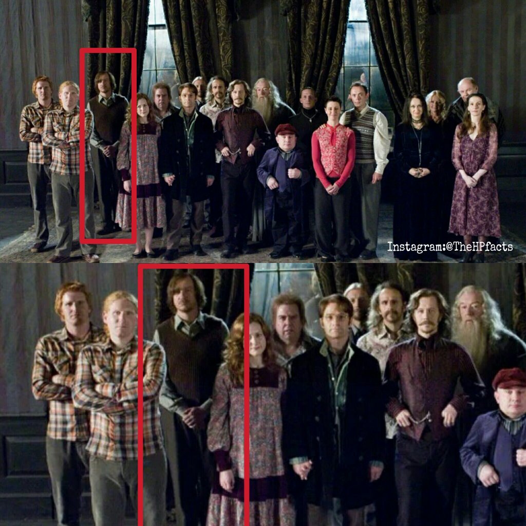 Harry Potter Facts and Stuff on Twitter: "Members of the Order of the