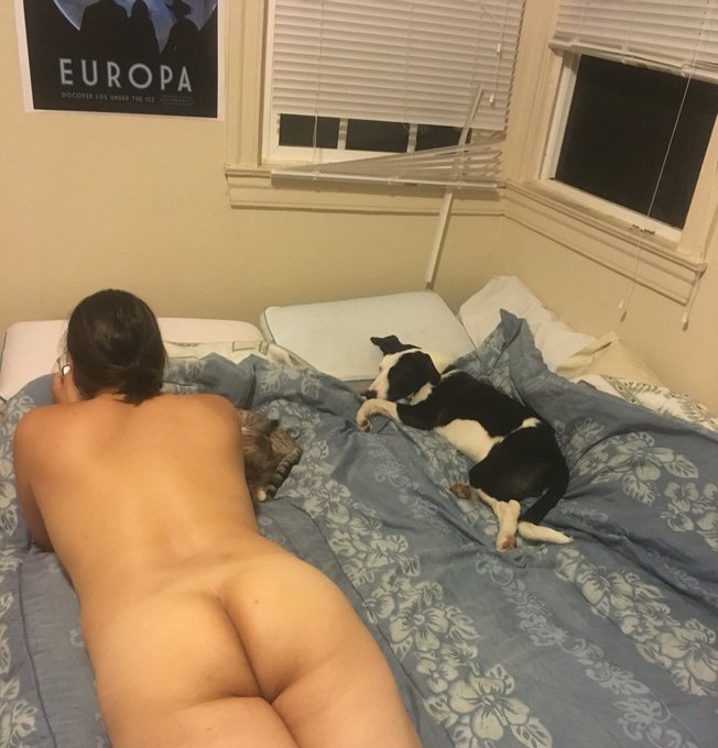 A hot naked girl with a great ass, a cat and a dog, doesn't get much better. https://t.co/hi8JTpfA5j<a href="/tag/sexy"class="tags"><span>#sexy</span></a><a href="/tag/reddress"class="tags"><span>#reddress</span></a>