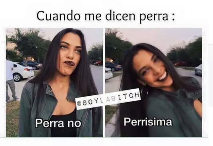 Luci_aedo's tweet photo. #MiSigno
#Leo
#SIGUEMEYTESIGO
#DomingoDeGanarSeguidores https://t.co/WcZ9ebFab9