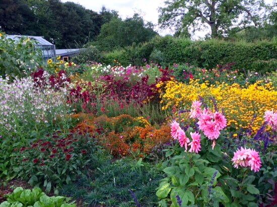 Delicious lunch at the beautiful <a href="/wortoncafe/">WortonOrganicGarden</a>, a hidden gem!