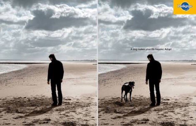 simoni1906's tweet photo. A dog can make your life happier. #Pedigree  #advertising #adoptdogs #powerful #impactful #printads #awesomewppbatch https://t.co/BLyu8TpfS7