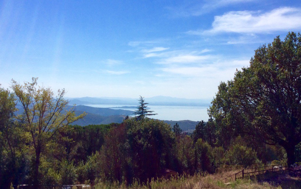 JUMBLE HOUSE tweet media