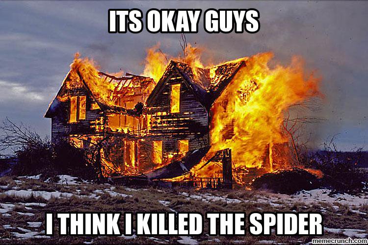 Image result for PIc of burning house down because of spider