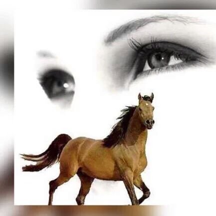 في دستور الكبرياء نكتب ولا نرسل 🎆💓💜
نشتاق ولا نتكلم 🎆💓💜🐴
نتوجع ولا نصرخ 🎆💓💜🐴
نموت ولا نتألم 🎆💓💜🐴