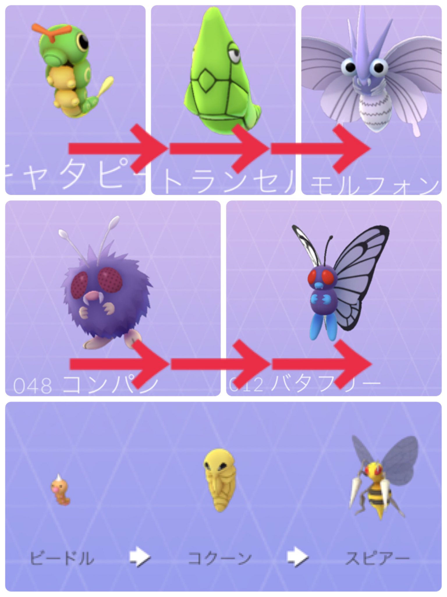 コンパン バタフリー ポケモンの都市伝説 バタフリーとモルフォンの進化は間違い コンパン トランセルが逆