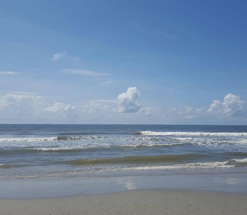 Seabrook Island tweet media