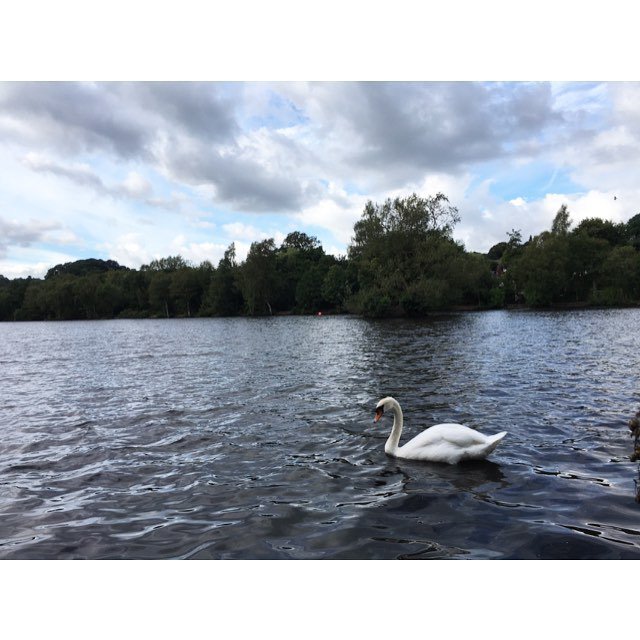 gregson_mark's tweet image. ift.tt/2c4gSTd