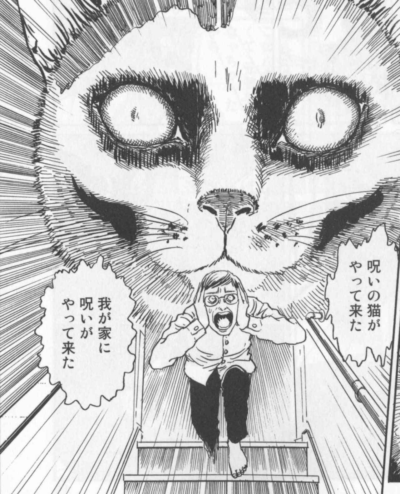 中野 最近猫漫画のオススメを繰り返していたので 毛色の違うのを一発 伊藤潤二の猫日記 よん Amp むー T Co Y3hqxxukca 富江 の伊藤潤二がその持てるホラー漫画技術を徹底的に 悪用 したギャグ漫画 ひどいｗ T Co Zsiueifhxr