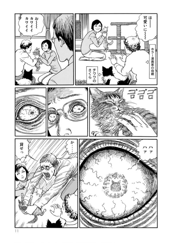 Uzivatel 中野 Na Twitteru 最近猫漫画のオススメを繰り返していたので 毛色の違うのを一発 伊藤潤二の猫日記 よん むー T Co Y3hqxxukca 富江 の伊藤潤二がその持てるホラー漫画技術を徹底的に 悪用 したギャグ漫画 ひどいw Uzivatel 中野 Na Twitteru 最近猫漫画のオススメを繰り返していたので 毛色の違うのを一発 伊藤潤二の猫日記 よん むー T Co Y3hqxxukca 富江 の伊藤潤二がその持てるホラー漫画技術を徹底的に 悪用 したギャグ漫画 ひどいw