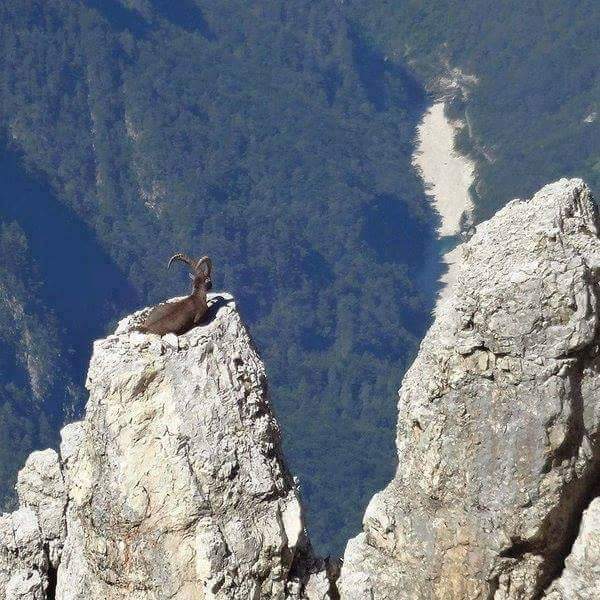 netcomsolution2's tweet image. #NetComSolutions celebrates the beauty of #Pakistan #BeautifulPakistan #Tourism