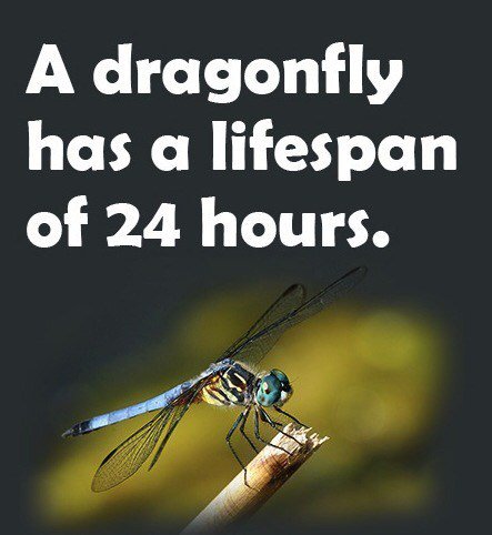 houstoncoder's tweet image. How long will your code last? houstoncoder.info/2016/09/04/how…