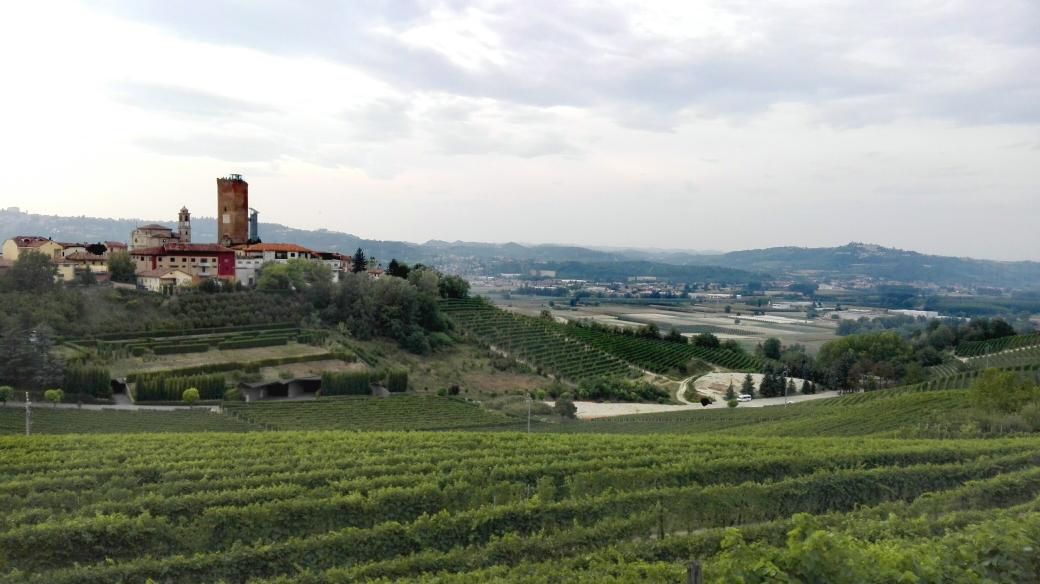 La meraviglia Unesco del Piemonte nulla,da invidiare a nessuno #attraversofestival <a href="/FuoriviaP/">Produzioni Fuorivia</a> #barbaresco