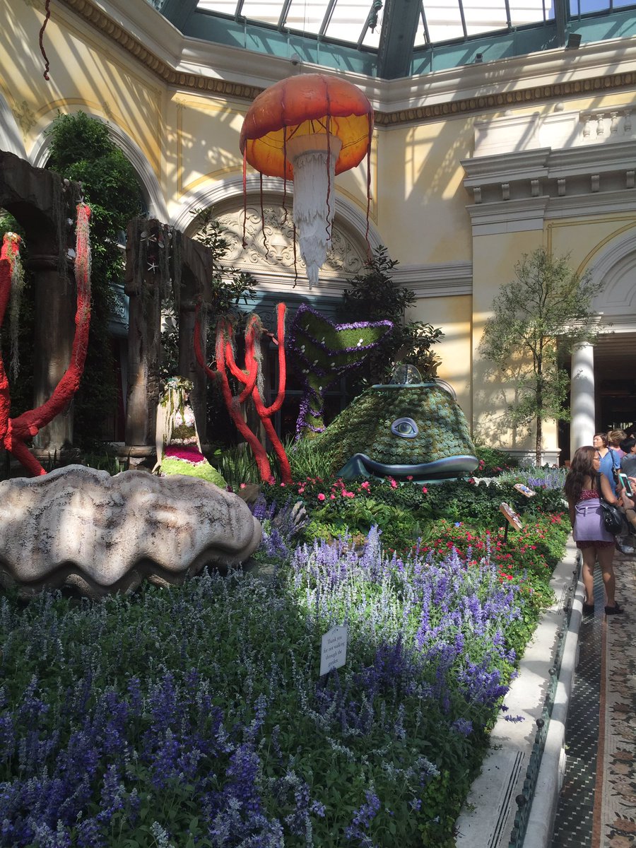 Emily Hamilton tweet media