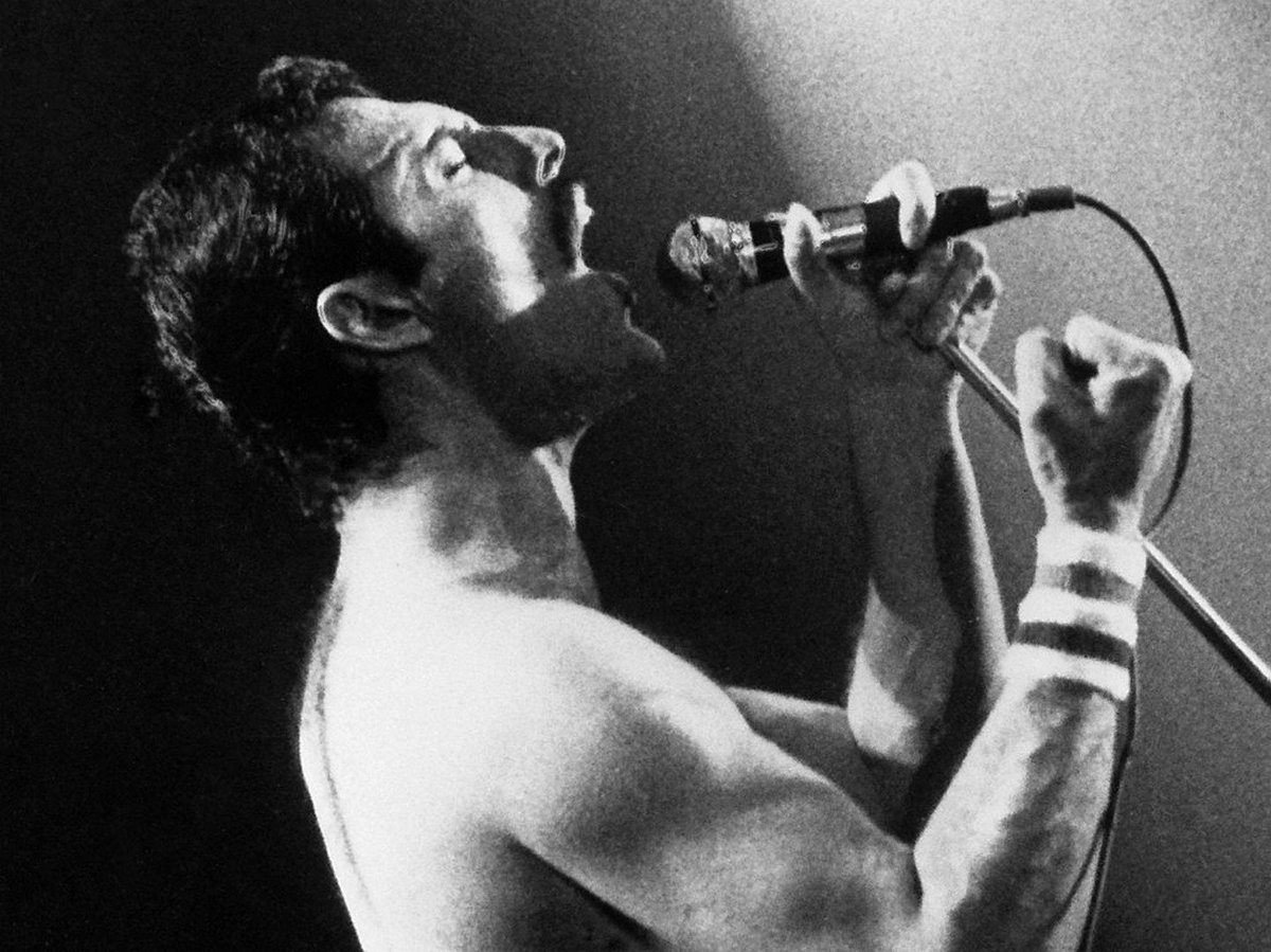 Steve10295's tweet photo. #Freddie70 #freddiemercury 
Your legend will go on forever. https://t.co/gdeafk7KK8
