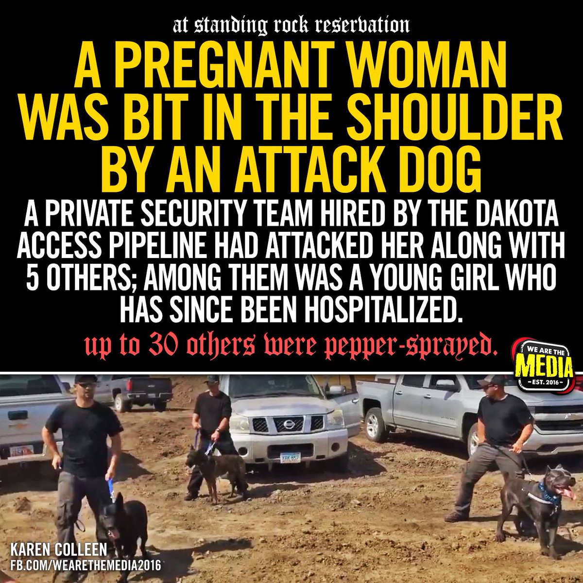 OurRevolutionUS's tweet photo. #NoDAPL dogs https://t.co/rh9RIXqr8E