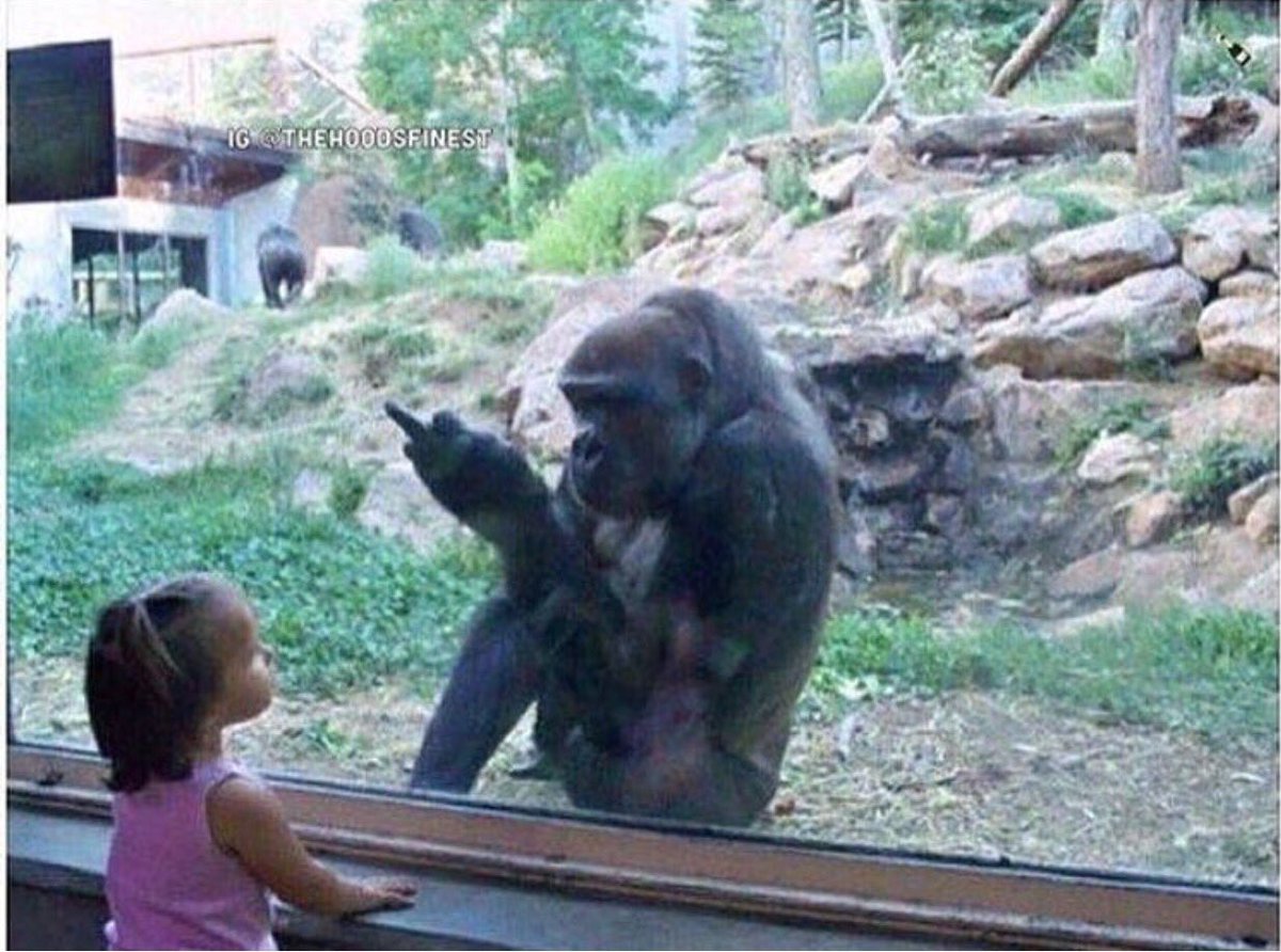 Retailstoreprob's tweet photo. How I feel when someone tries opening the door after we already locked up for the night #retailproblems https://t.co/JAAYePLFeJ