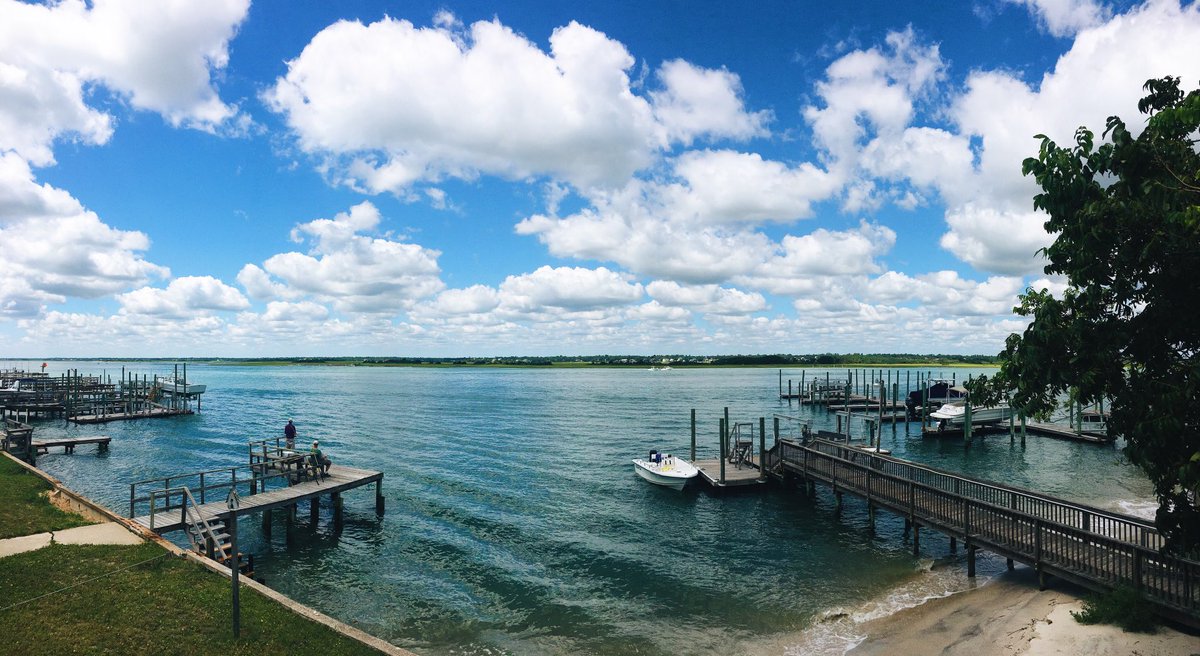 theav_cado's tweet image. #minication