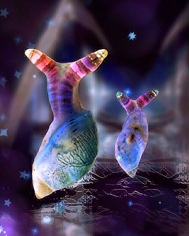 Tukyako's tweet image. #Bazaart #Dreamscope #MegaPhoto