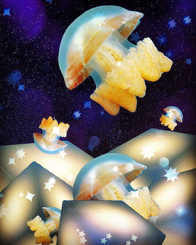 Tukyako's tweet image. #Bazaart #Dreamscope #MegaPhoto