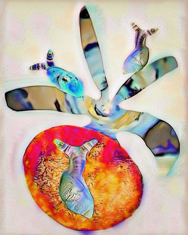 Tukyako's tweet image. #Bazaart #Dreamscope #MegaPhoto