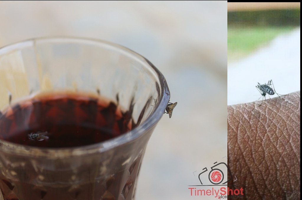 TimelyShot's tweet photo. We all simply gt our red wine frm diff srces. Weh do u gt urs frm? #TimelyShot #Photography #Photographer #Upsclose https://t.co/Q2HvzMAasA