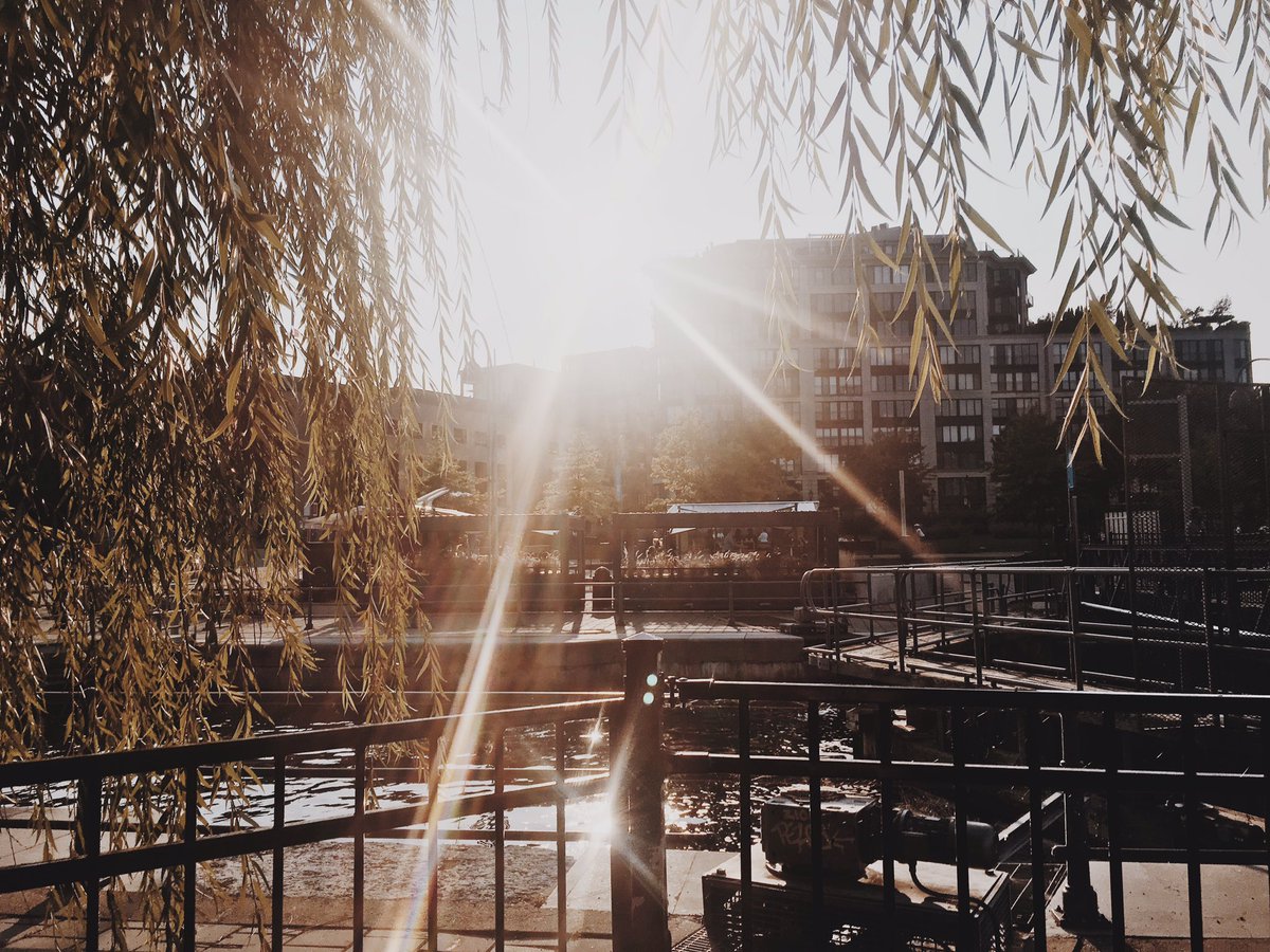 L'été n'est pas terminé tant que les Muvbox Restos sont ouverts... Jusqu'à fin septembre ! 🌮🌞🌴