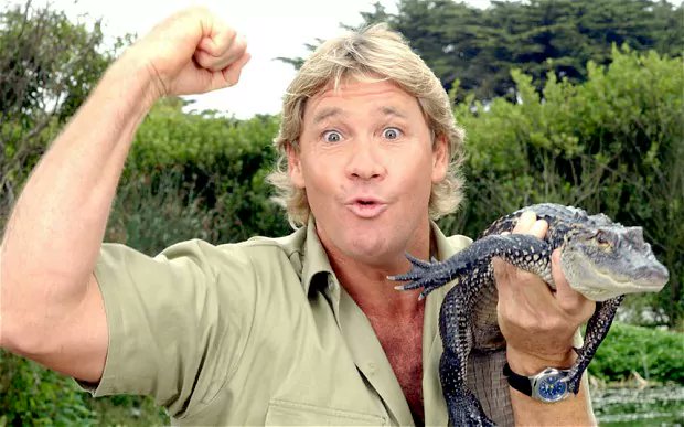 tanner_rollins's tweet photo. One of my heroes died 10 years ago to this day, cheers m8 #croiky #SteveIrwin https://t.co/z7M1XLwD4n