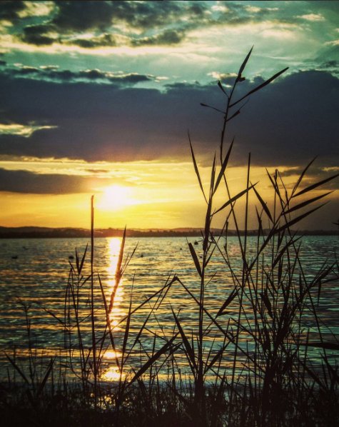 KODAKPIXPRO's tweet photo. Great shot captured by @rebeca.diez. #kodakpixpro #astrozoom #camera #AZ362 #sunset #nature #beauty #lake #mountain https://t.co/ZKE4bNPmeN