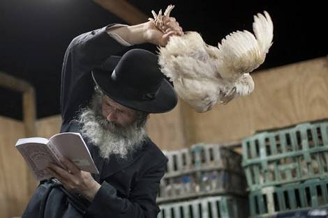Saat Dosa Yahudi Dilimpahkan Pada Ayam