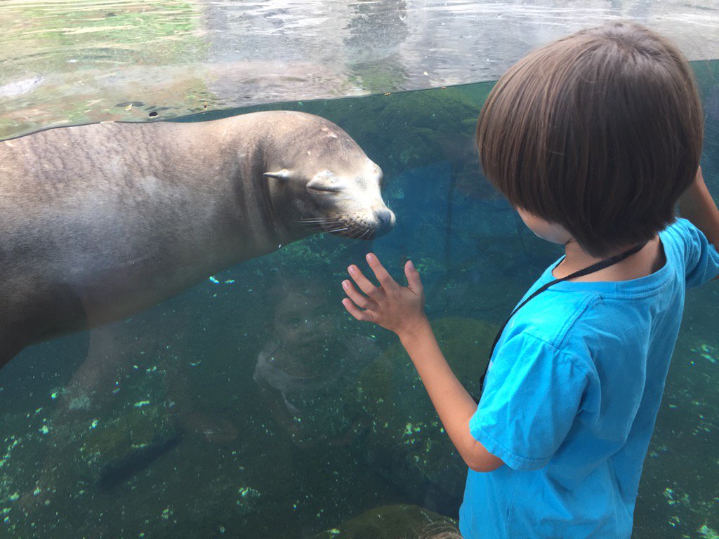 New friends.... <a href="/NationalZoo/">National Zoo</a>