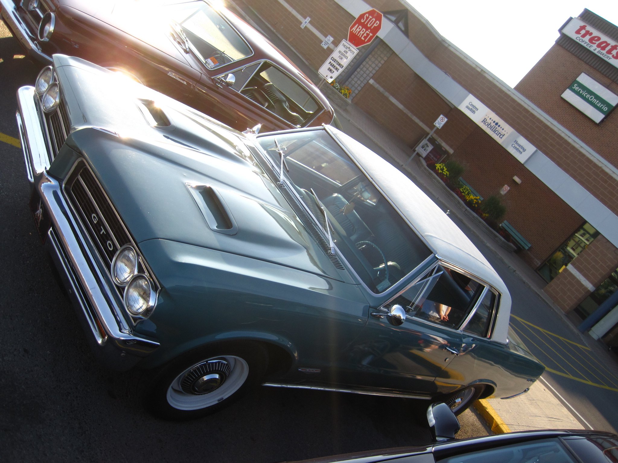 Steve Brandon Monkey Joe S Car Show 1964 Pontiac Gto Gm Gto Tempest Musclecar Ottawa ポンティアック マッスルカー オタワ アメ車 自動車 Steve Brandon Monkey Joe S Car Show 1964 Pontiac Gto Gm Gto Tempest Musclecar Ottawa ポンティアック マッスルカー オタワ アメ車 自動車