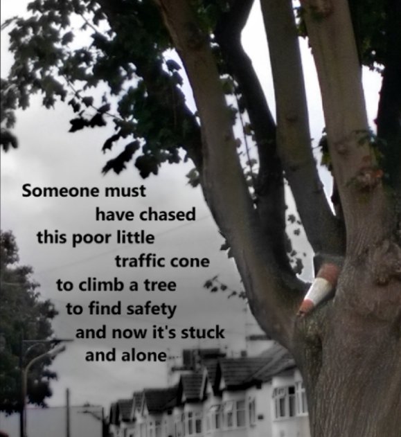 TheLastZHN's tweet image. Ode to a traffic cone #sub_urban