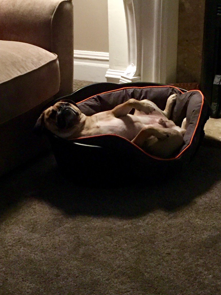 Chris Mattear tweet media