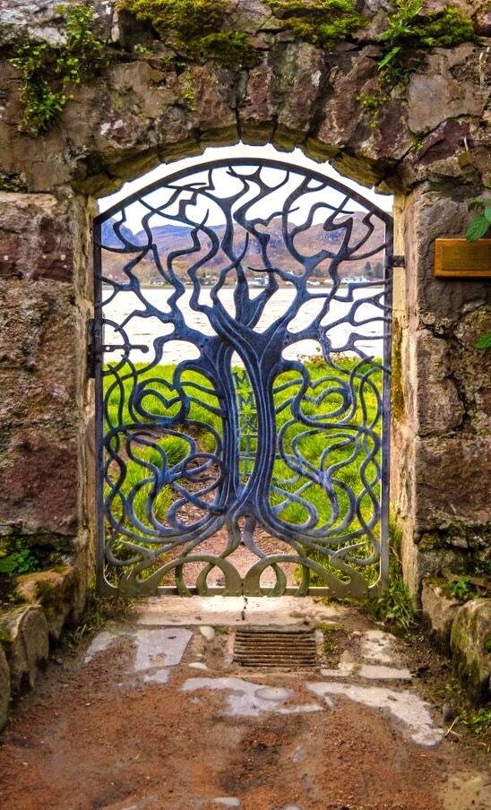DruminMTB's tweet photo. Who's ready to open the gate to Scotland's natural beauty? https://t.co/wJVs3yEYbm