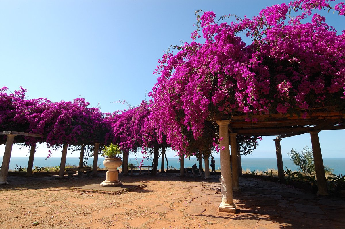Xkizoo's tweet photo. Miradouro

#Maputo #Mozambique

Location: https://t.co/3AKG42b78p

#PokeExplore @NianticLabs https://t.co/mtjOyIRMLl