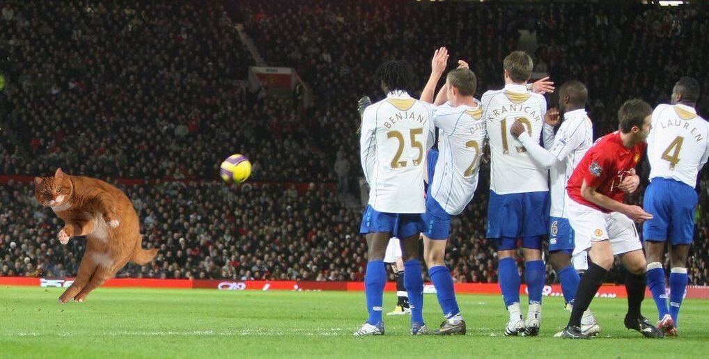 TheCatinho's tweet photo. Catinho scoring an unreal free-kick against Portsmouth https://t.co/9TgWwcPUox