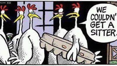 CheyennesMarket's tweet photo. Stop by @CheyennesMarket  for farm fresh eggs! https://t.co/sdpsf4W01H