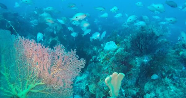 SpendRight, Inc. tweet media