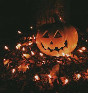 thefemaleboook's tweet photo. IM SO READY FOR FALL AND PUMPKINS AND FLANNELS AND SCARY MOVIES AND PRETTY LEAVES 🍂🎃 https://t.co/slFH4sgGlO