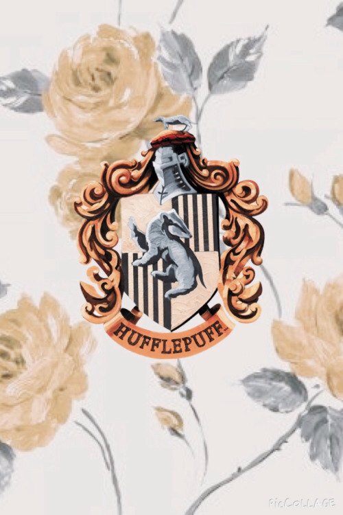 potterhead9_34's tweet photo. #Hufflepuff https://t.co/WaE9UG3hX4