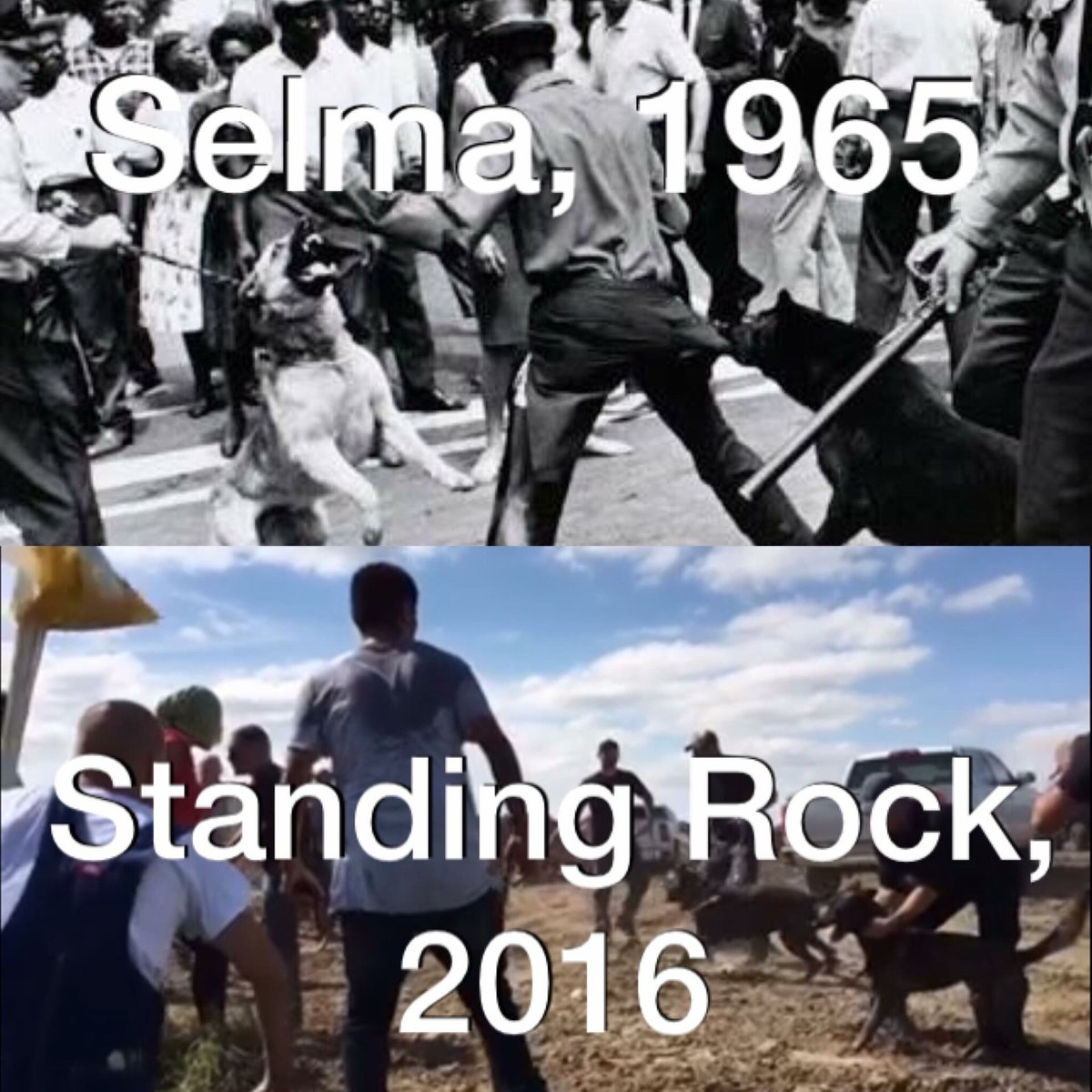 anthony9843's tweet photo. Dogs 51 yrs later 👇👇#NoDAPL
Establishment has no problem allowing this to happen to Natives. AMF - sanctions it https://t.co/YdL4cXMXMK
