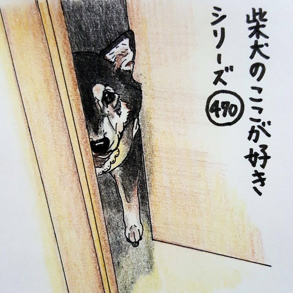 動物,犬,猫,しつけ,飼い方,育て方,病気,健康