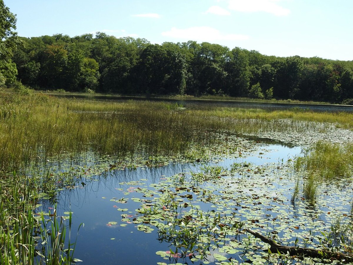 MitchellOutdrs's tweet photo. @PinckneyRec @MDNR_Wildlife @MichiganDNR @PureMichigan https://t.co/JB450V3r3C