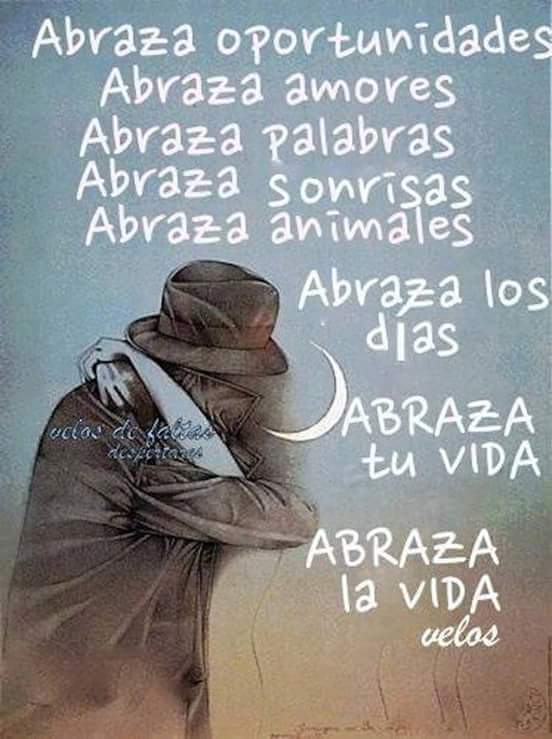 Resultado de imagen para velos de faltas frases nuevas