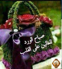 sms43491's tweet photo. @sarosh_iq صباح الخير https://t.co/EUvdVATuji