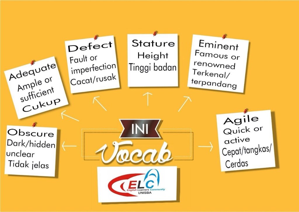 Here's some new vocabularies