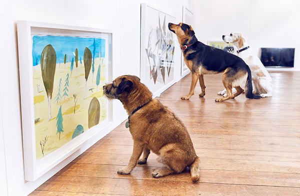 ScreamingBean_'s tweet photo. Dogs love art, too! https://t.co/5CNqbqN2qk
#ScreamingBeanCafe #love #inspire #art https://t.co/ISRhnn9ulu