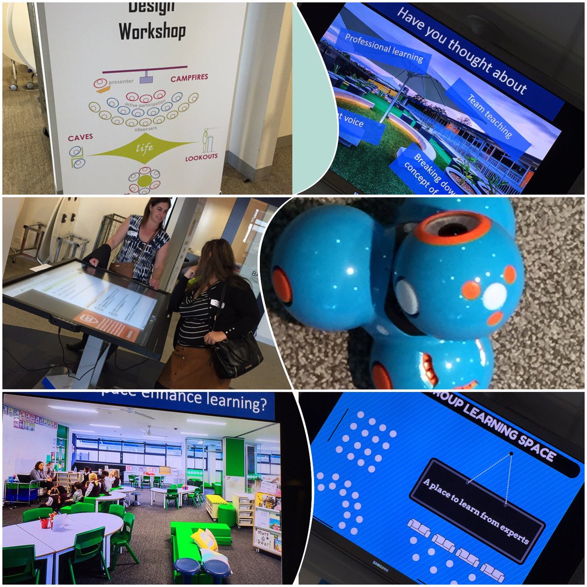 Fiona Gray tweet media