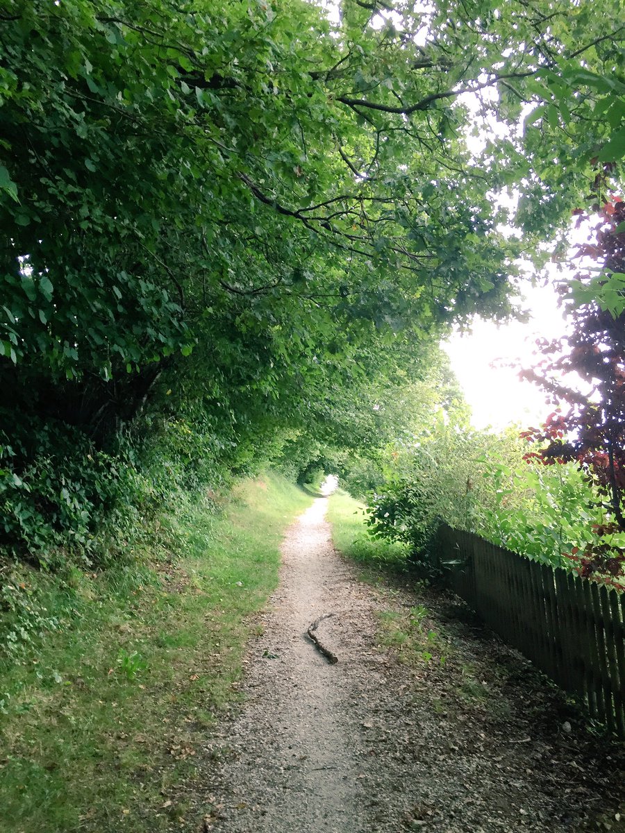 travelstoryCH's tweet photo. #romantischer #Weg gerade um die Ecke 💞 #natur #wandern https://t.co/mqmbZzJyow