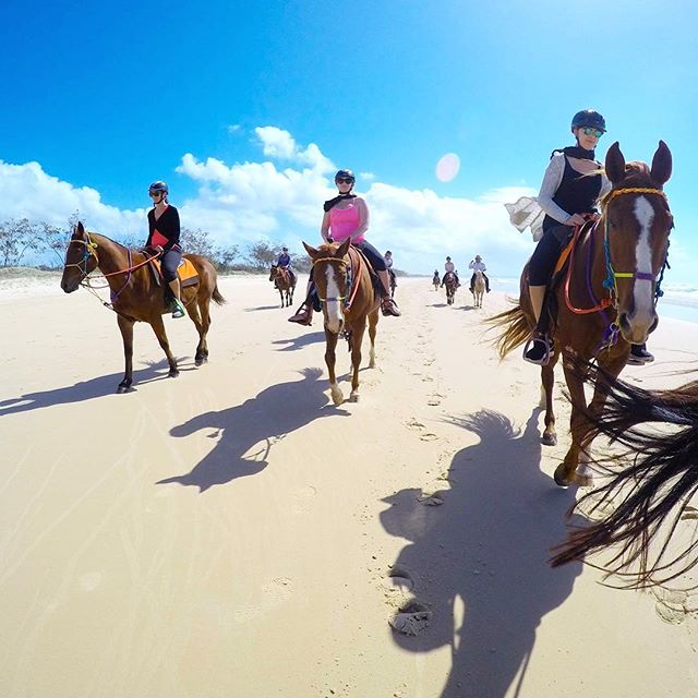 Queensland's tweet image. 📷📷📷: 🔥 #Queensland snaps from the past week! 👀 more 👉 bit.ly/2cgFiIK Share yours using #thisisqueensland ✌️